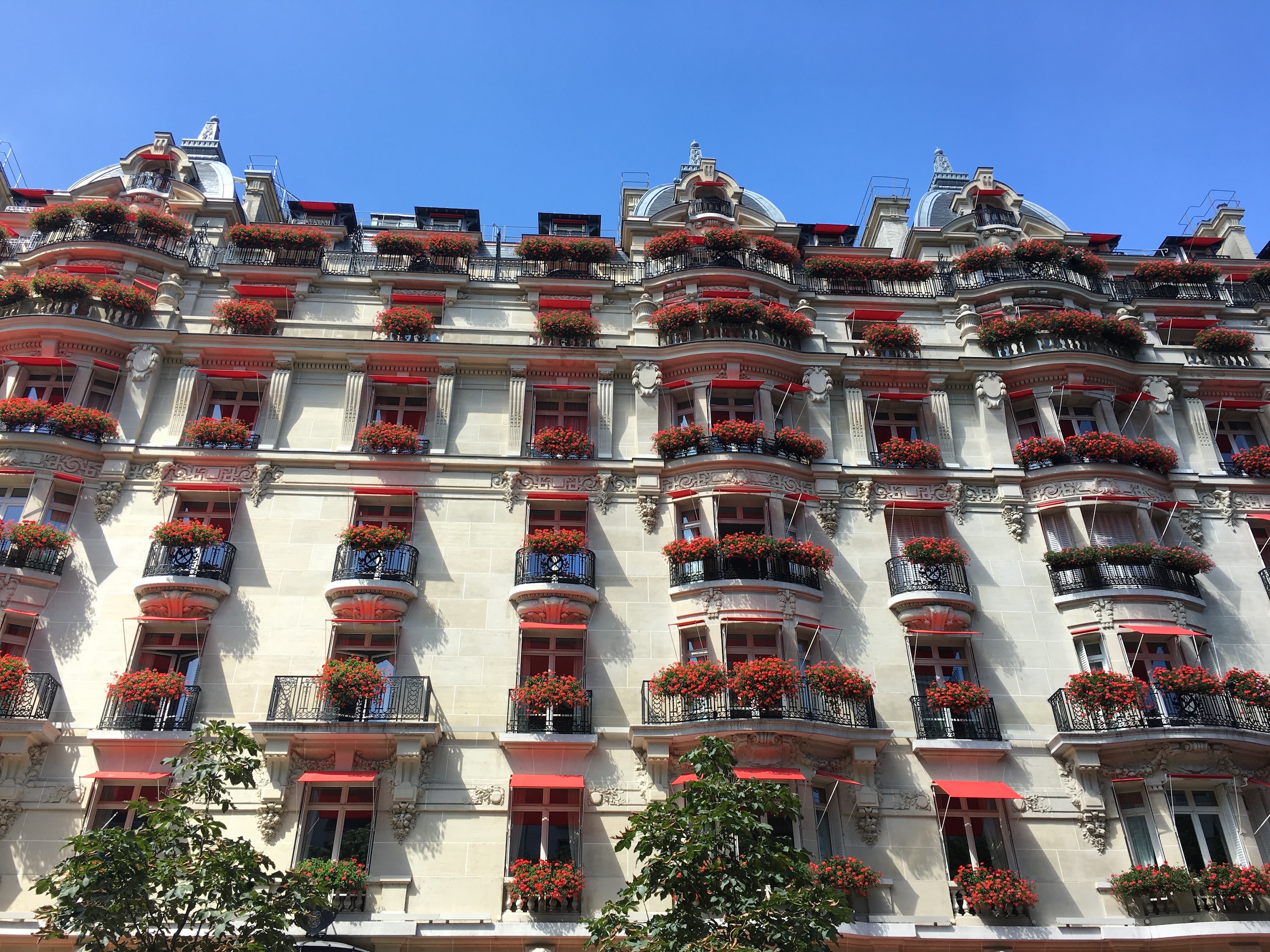 Sydney interior designer in france