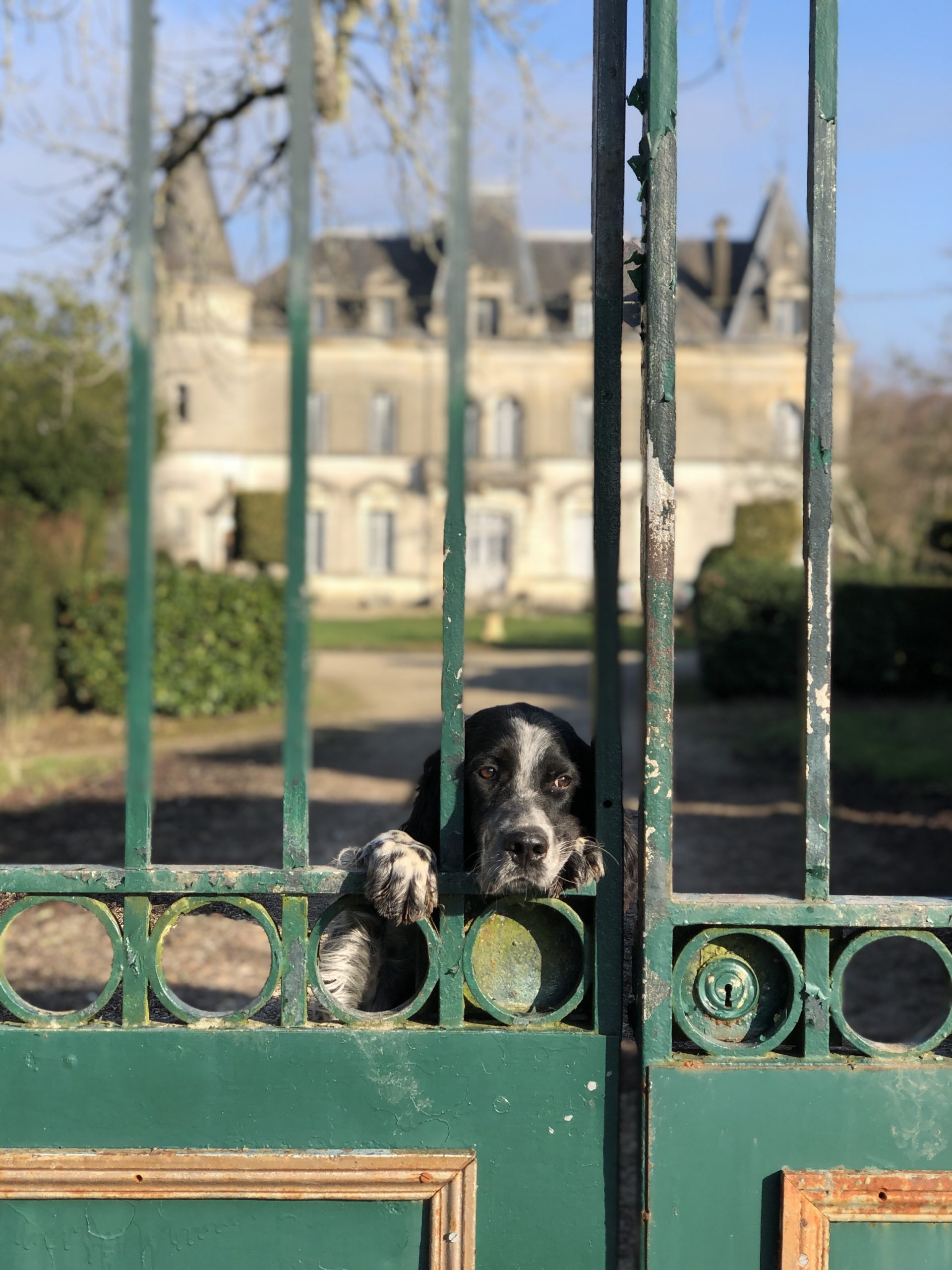 France buying French property interior design